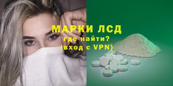 гашик Верея
