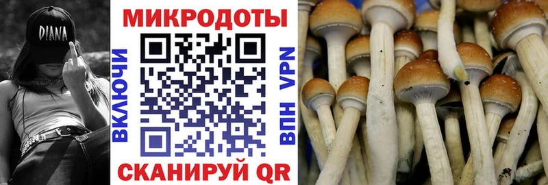 наркошоп  Первомайск  Псилоцибиновые грибы Psilocybine cubensis 